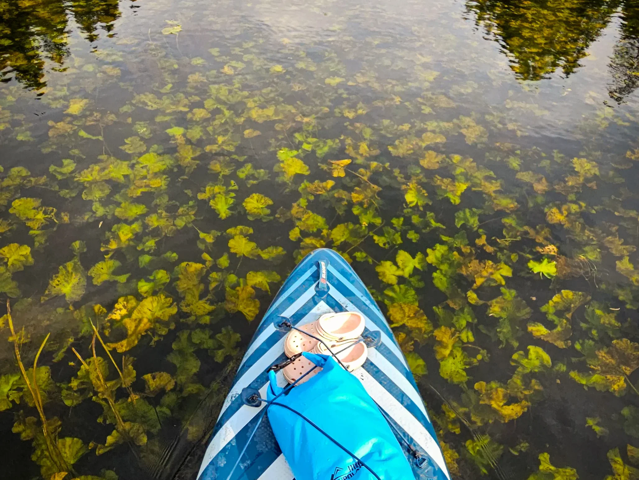Почему река зовётся «Оредеж» и как одно слово хранит тысячелетнюю память